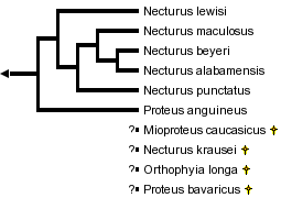 taxon links