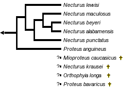 taxon links