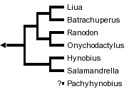 taxon links