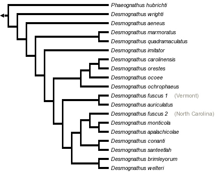 taxon links