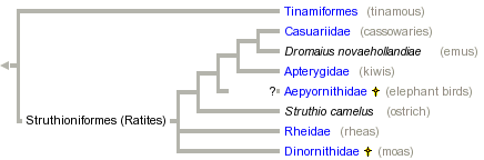 taxon links