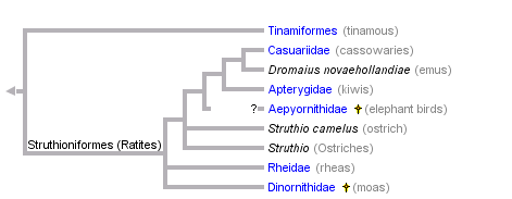 taxon links