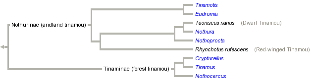 taxon links