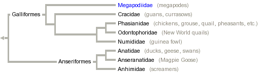 taxon links