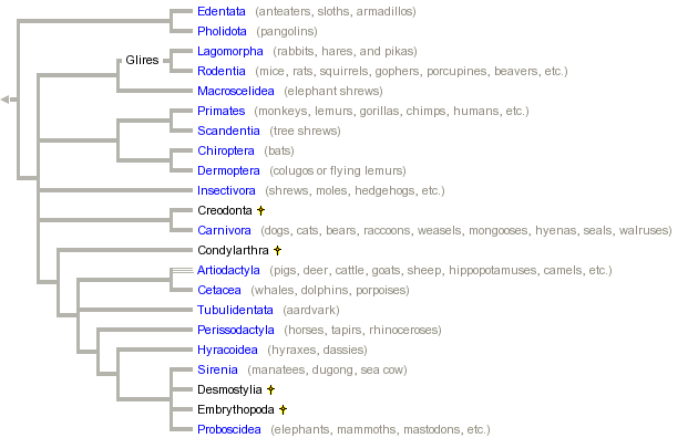 taxon links