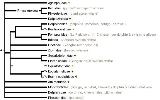 taxon links