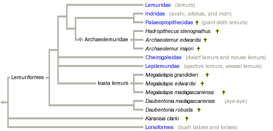 taxon links