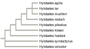 taxon links