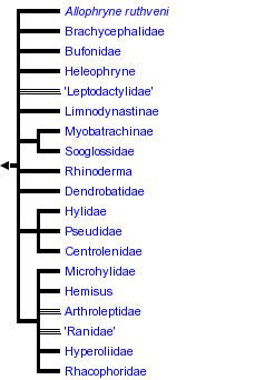 taxon links