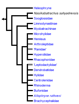 taxon links