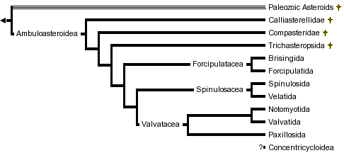 taxon links