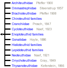 taxon links