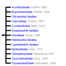 taxon links