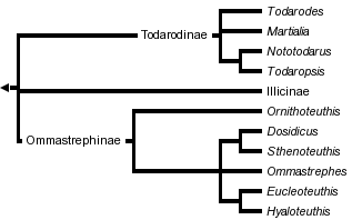 taxon links