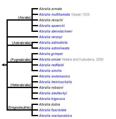 taxon links