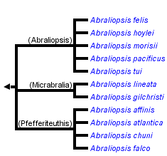taxon links