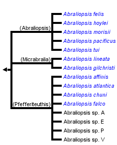 taxon links