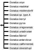 taxon links