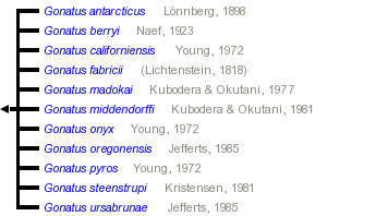 taxon links