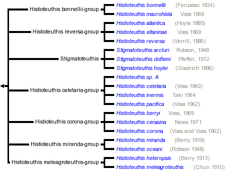 taxon links