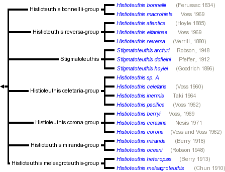 taxon links
