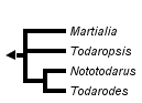 taxon links