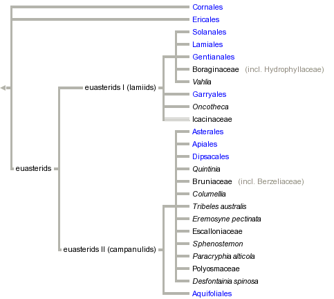 taxon links