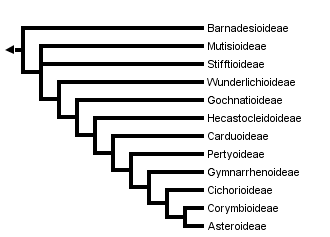 taxon links
