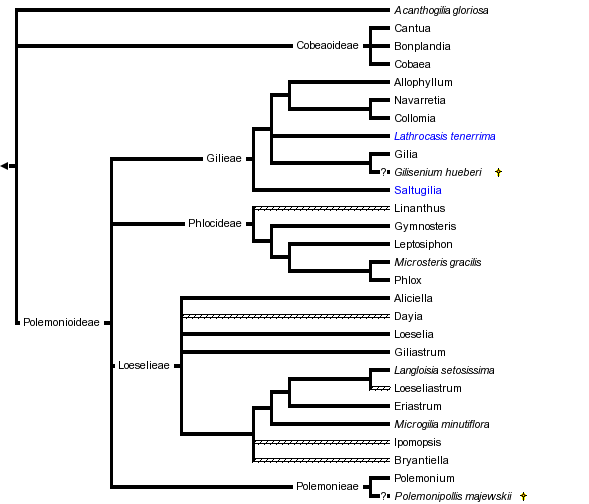 taxon links