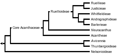 taxon links