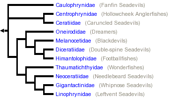 taxon links