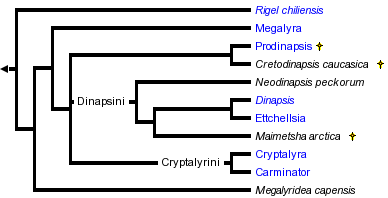 taxon links