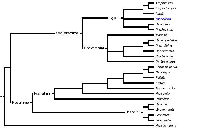 taxon links