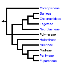 taxon links