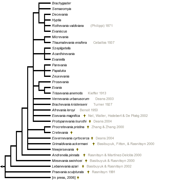 taxon links