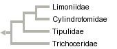 taxon links