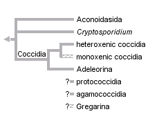 taxon links