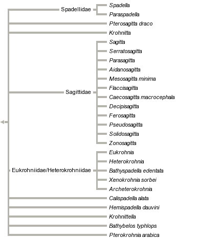 taxon links