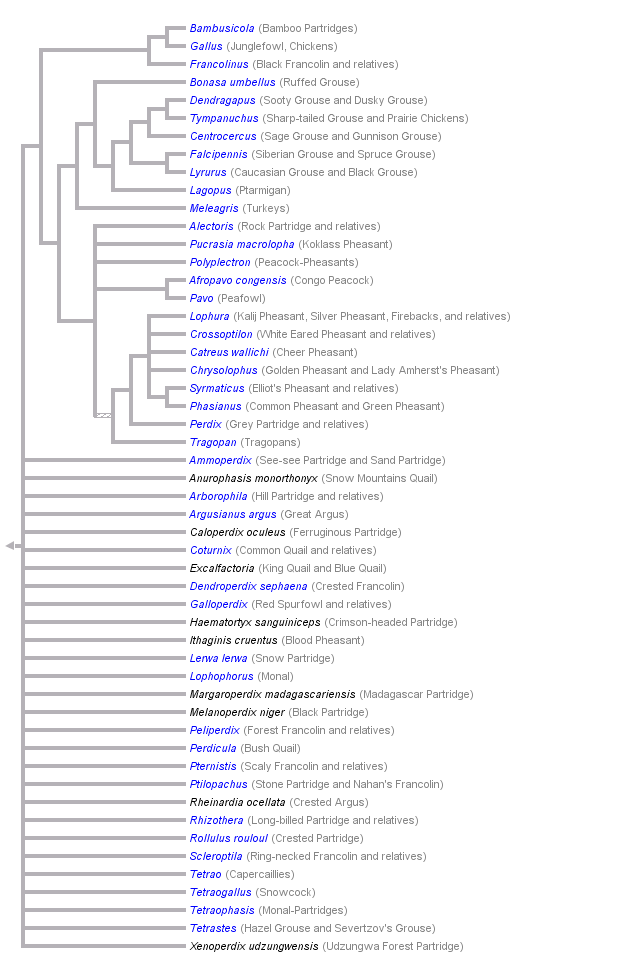 taxon links