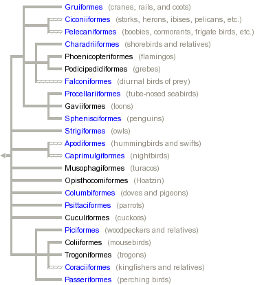 taxon links