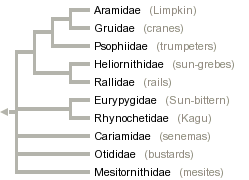 taxon links