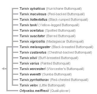 taxon links