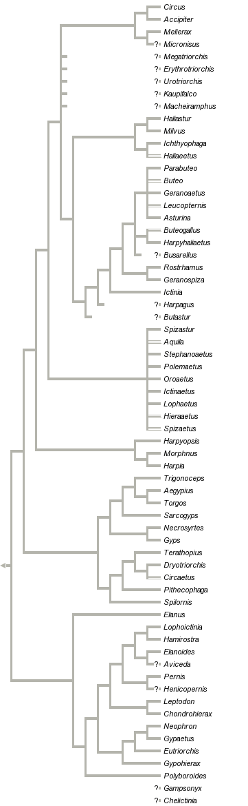 taxon links