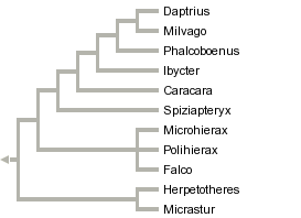 taxon links