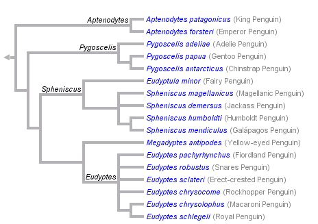 taxon links