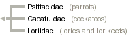 taxon links
