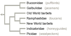 taxon links