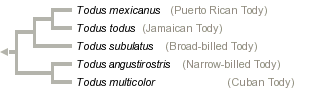 taxon links