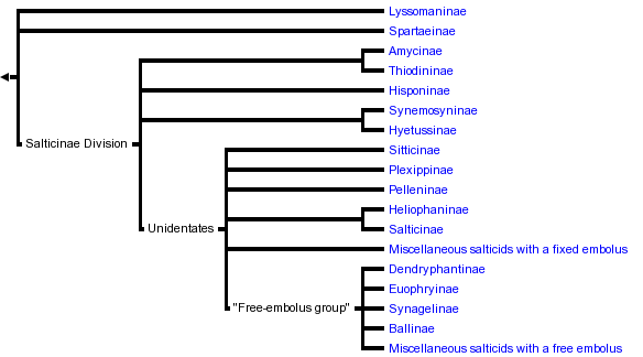 taxon links