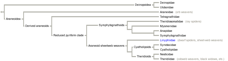 taxon links